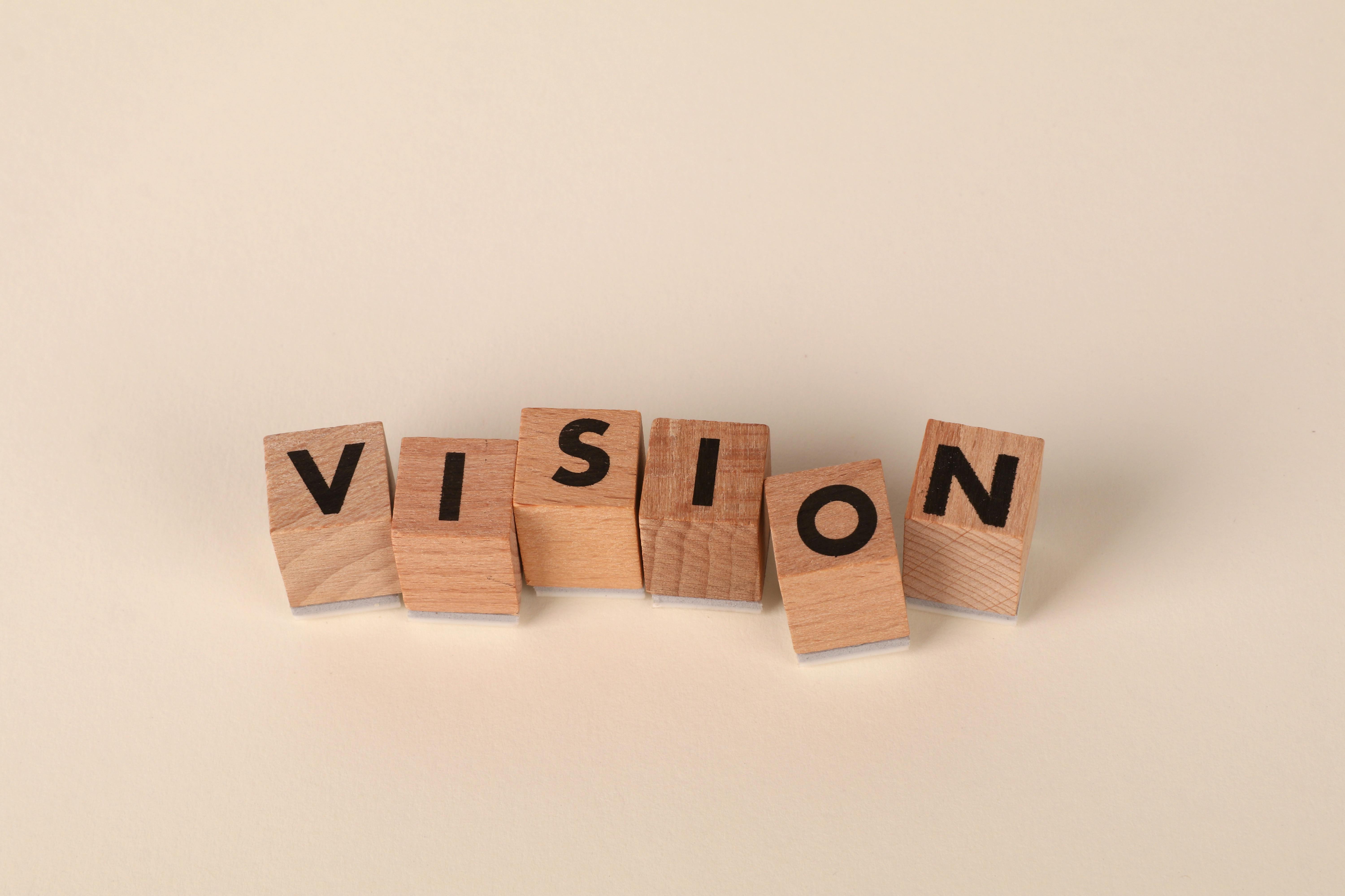Vision Asset Blueprint